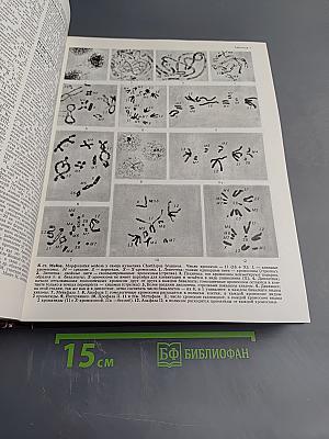 Большая Советская Энциклопедия, Том 16 (МЕЗИЯ—МОРШАНСК)