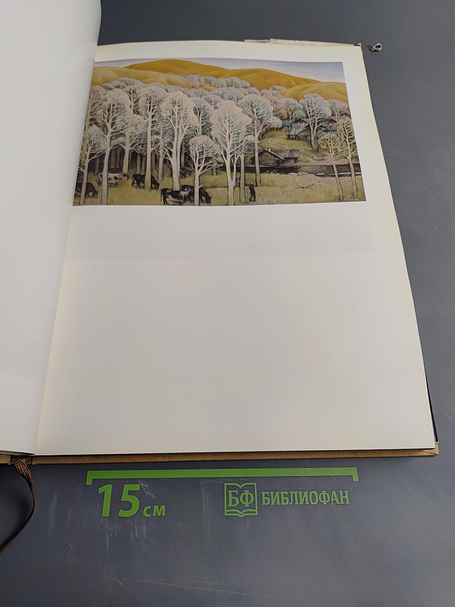 Юрий Михайлович Ракша. Живопись. Графика. Кино. Статьи