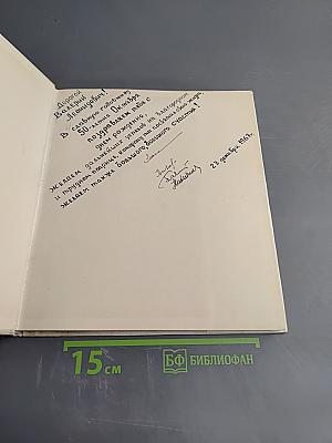 Голландские пейзажи