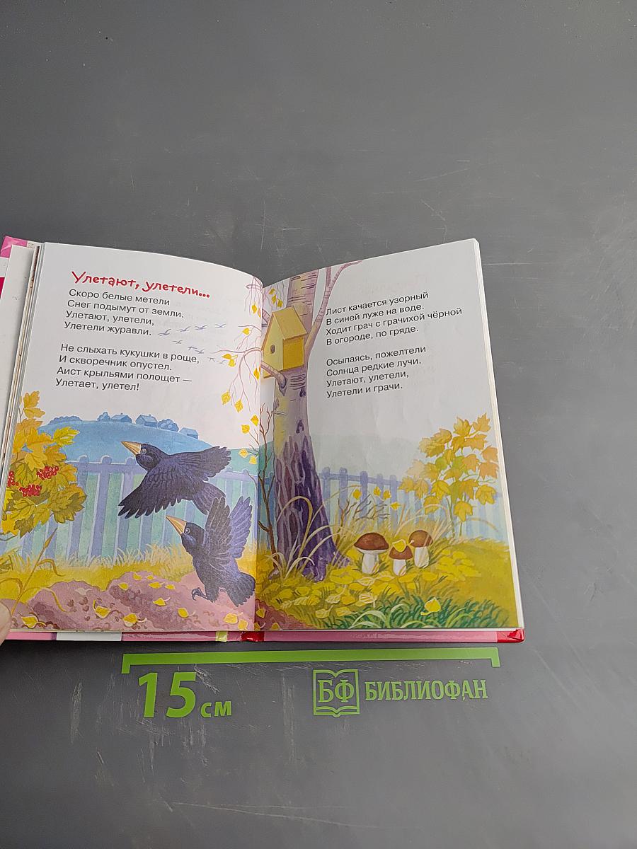 Стихи и сказки