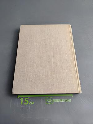 Путешествие вокруг света