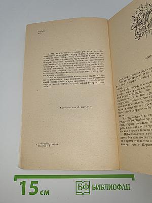 В Стужу