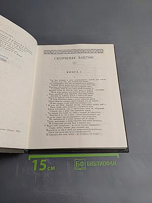 Скорбные элегии. Письма с Понта