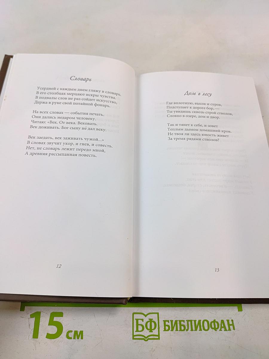 Последний фонарь за оградой...