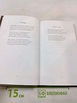 Последний фонарь за оградой...