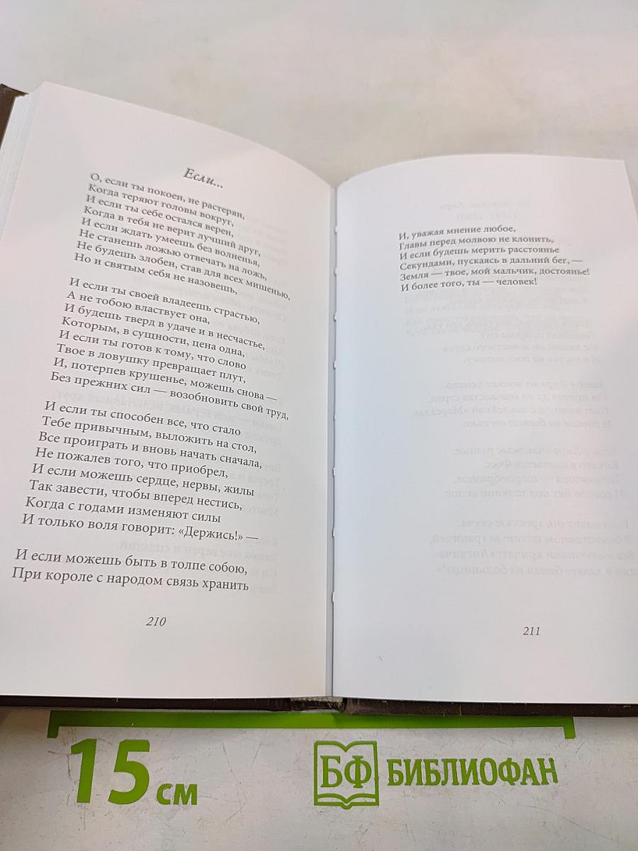 Последний фонарь за оградой...