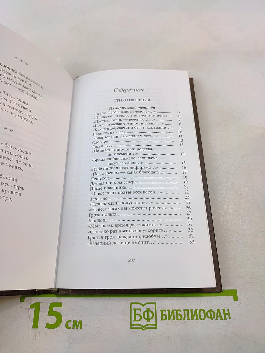 Последний фонарь за оградой...