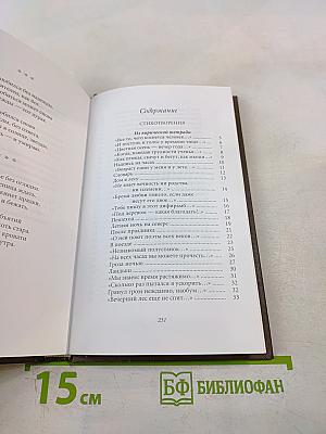 Последний фонарь за оградой...