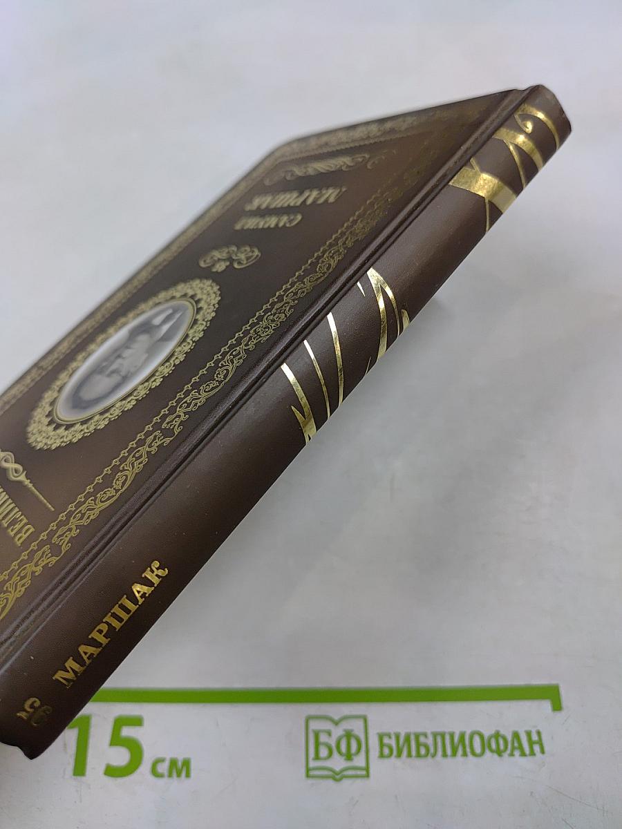 Последний фонарь за оградой...