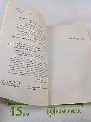 Капитанская дочка