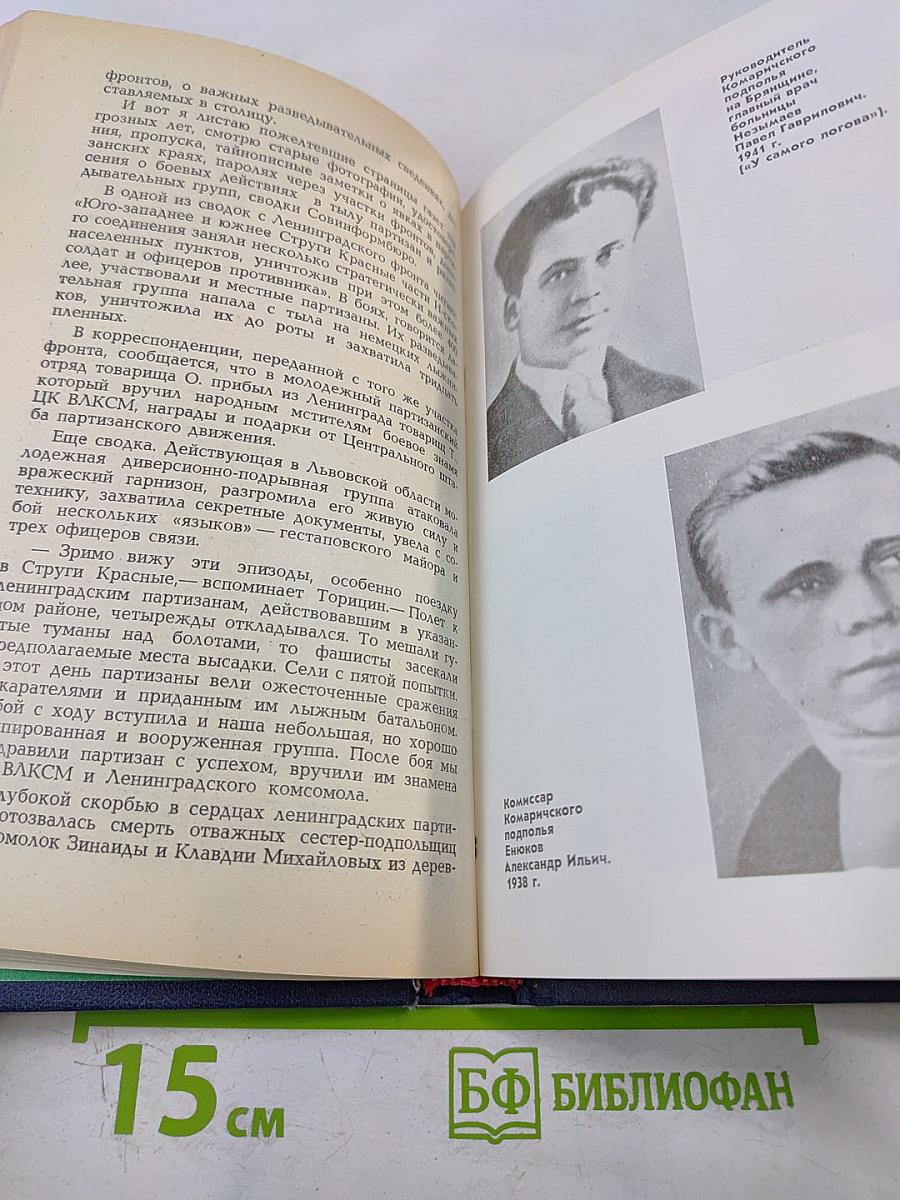 Что там, за линией фронта?