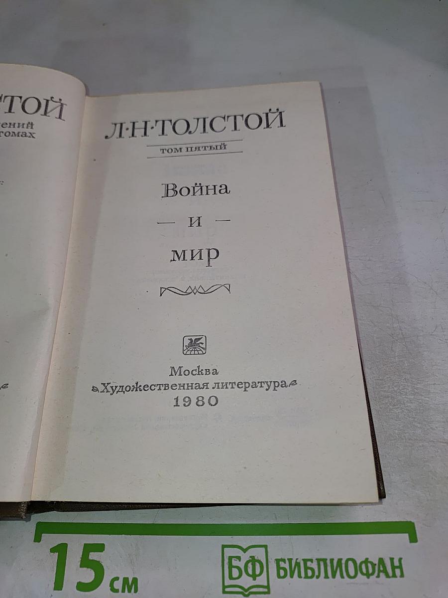 Война и мир. Том пятый