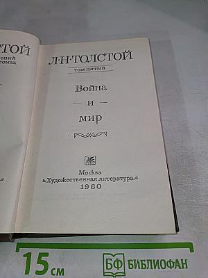 Война и мир. Том пятый