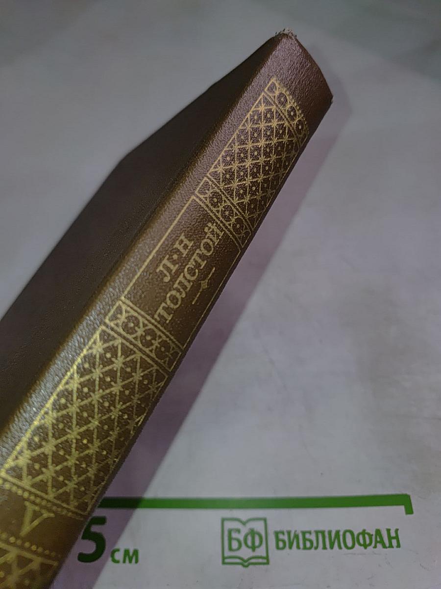 Война и мир. Том пятый