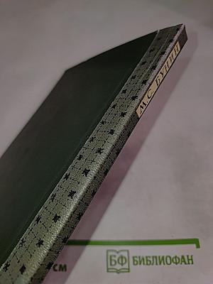 Стрелка Васильевского острова