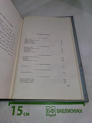 Русские очерки. Том III