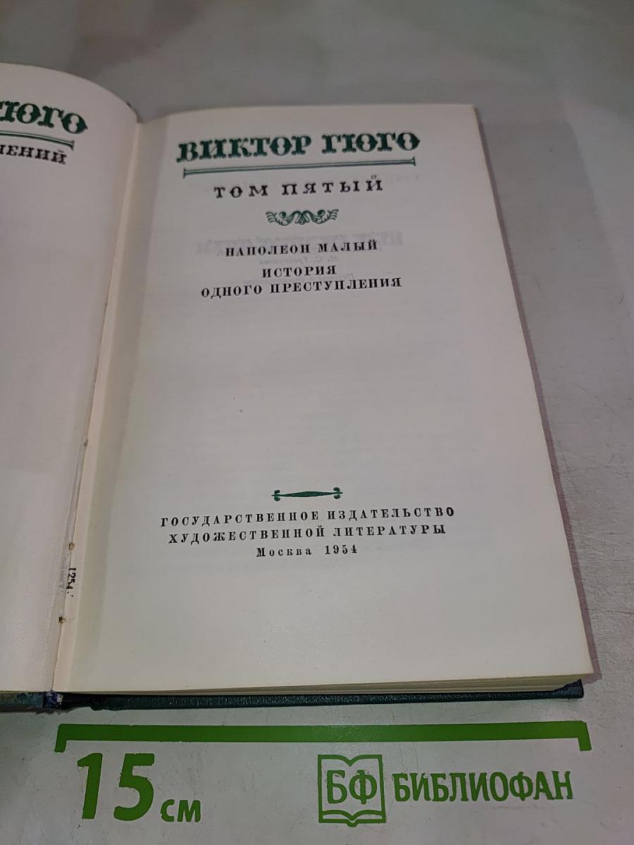 Наполеон Малый. История одного преступления. Том пятый