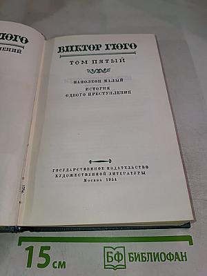 Наполеон Малый. История одного преступления. Том пятый