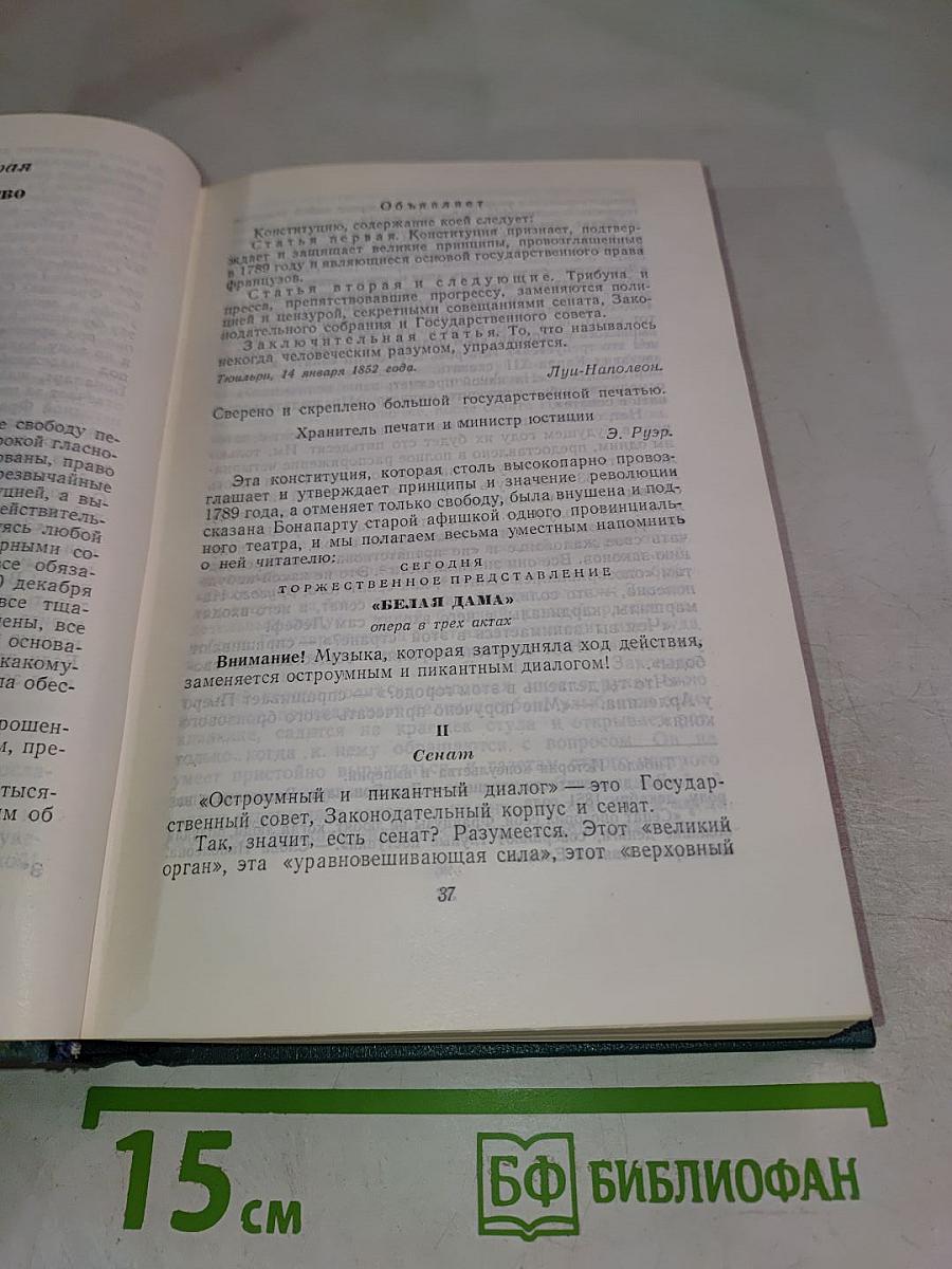 Наполеон Малый. История одного преступления. Том пятый