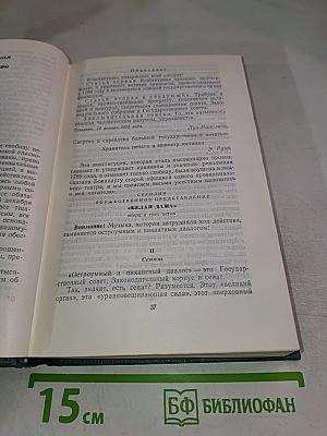 Наполеон Малый. История одного преступления. Том пятый