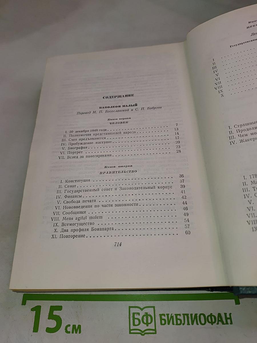 Наполеон Малый. История одного преступления. Том пятый