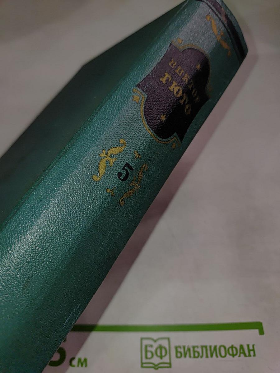 Наполеон Малый. История одного преступления. Том пятый