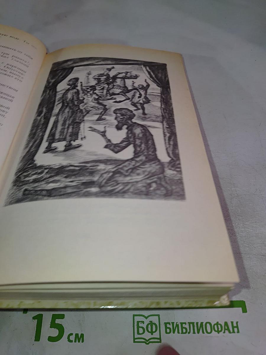 К последнему морю. Юность полководца