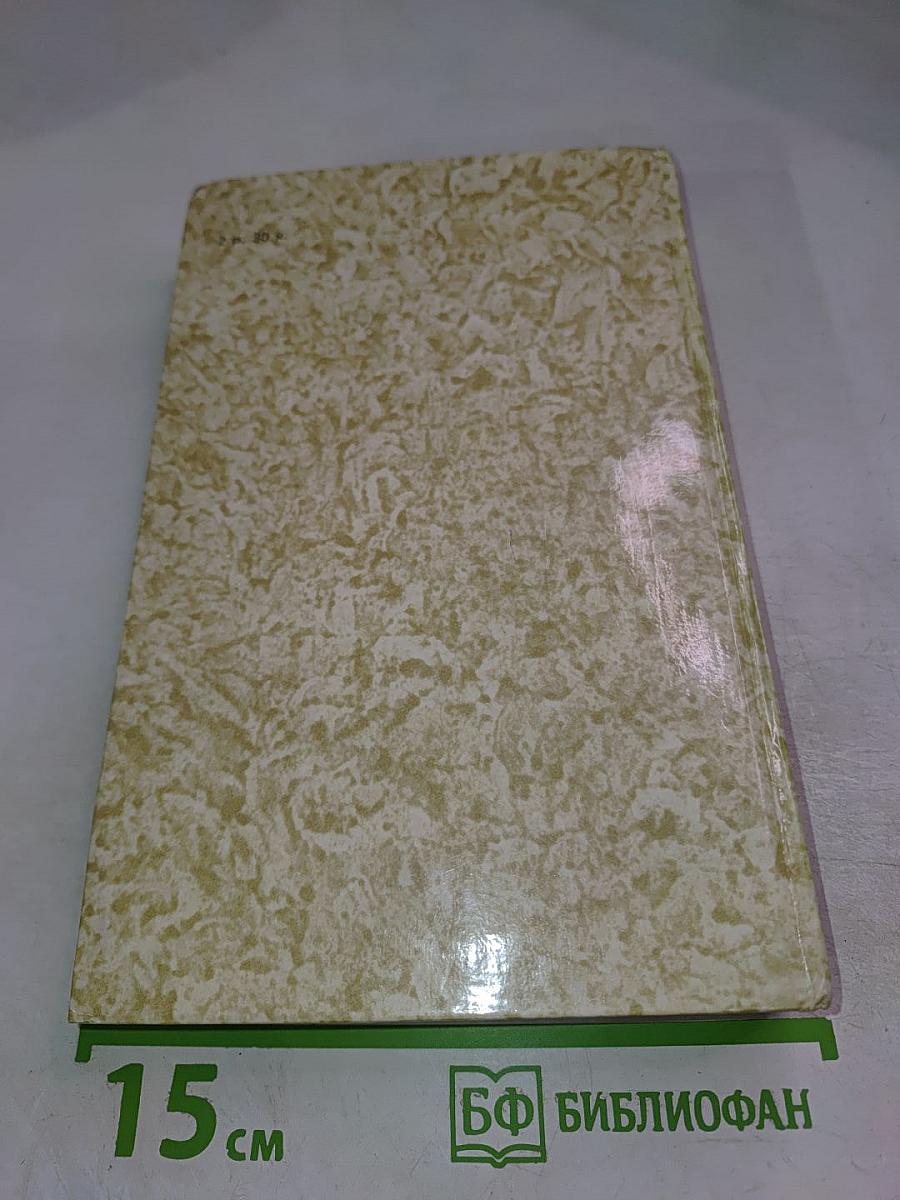 К последнему морю. Юность полководца