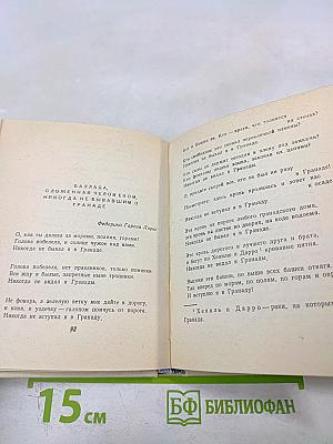 Поэты Испании и Латинской Америки. Избранные переводы