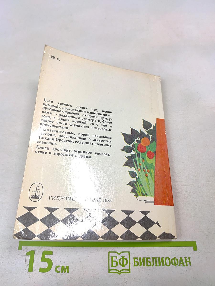 Заводи кого угодно, только НЕ КРОКОДИЛА!