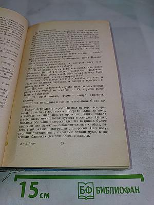 Бескрылые птицы