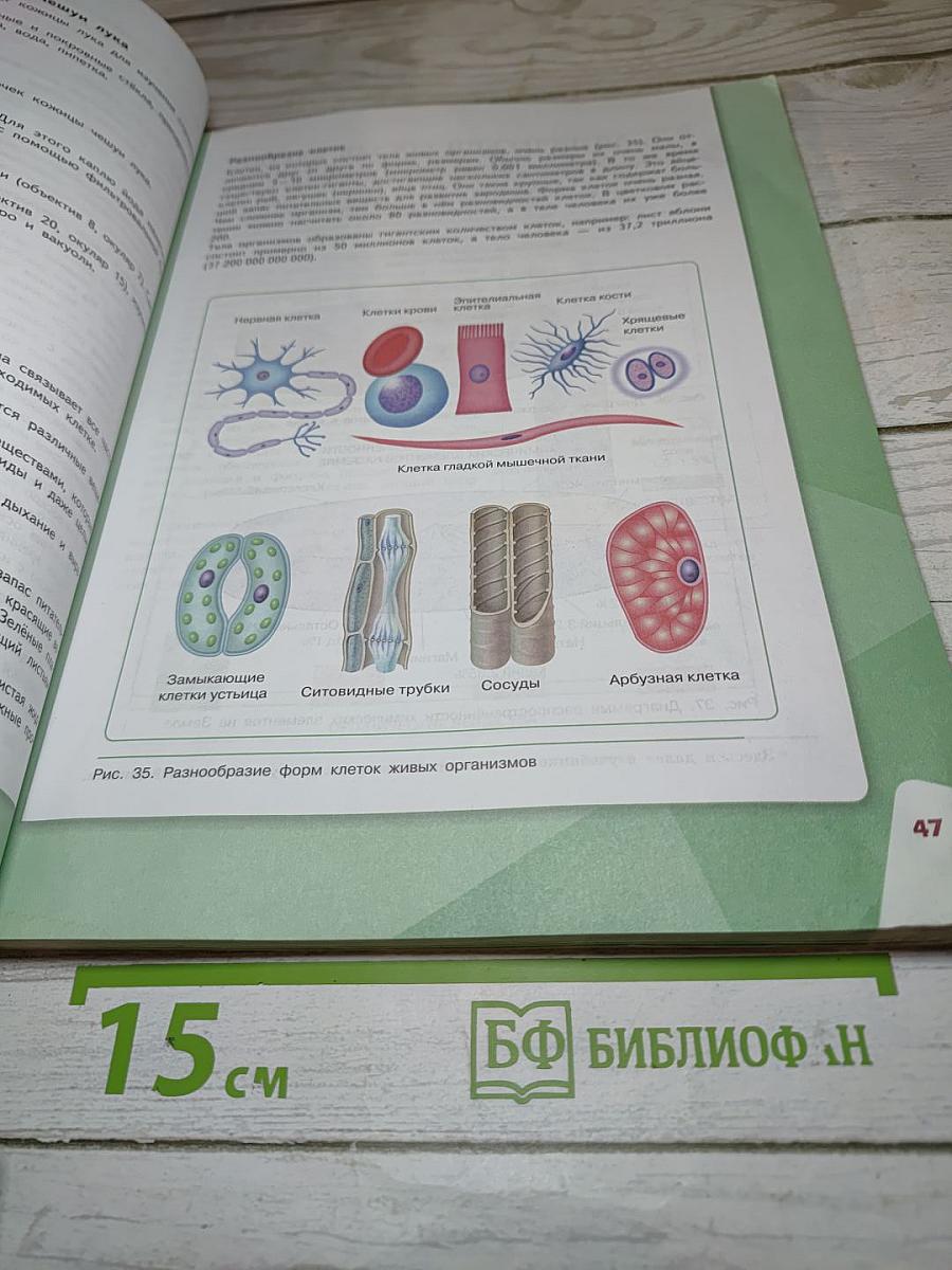 Биология 5 класс
