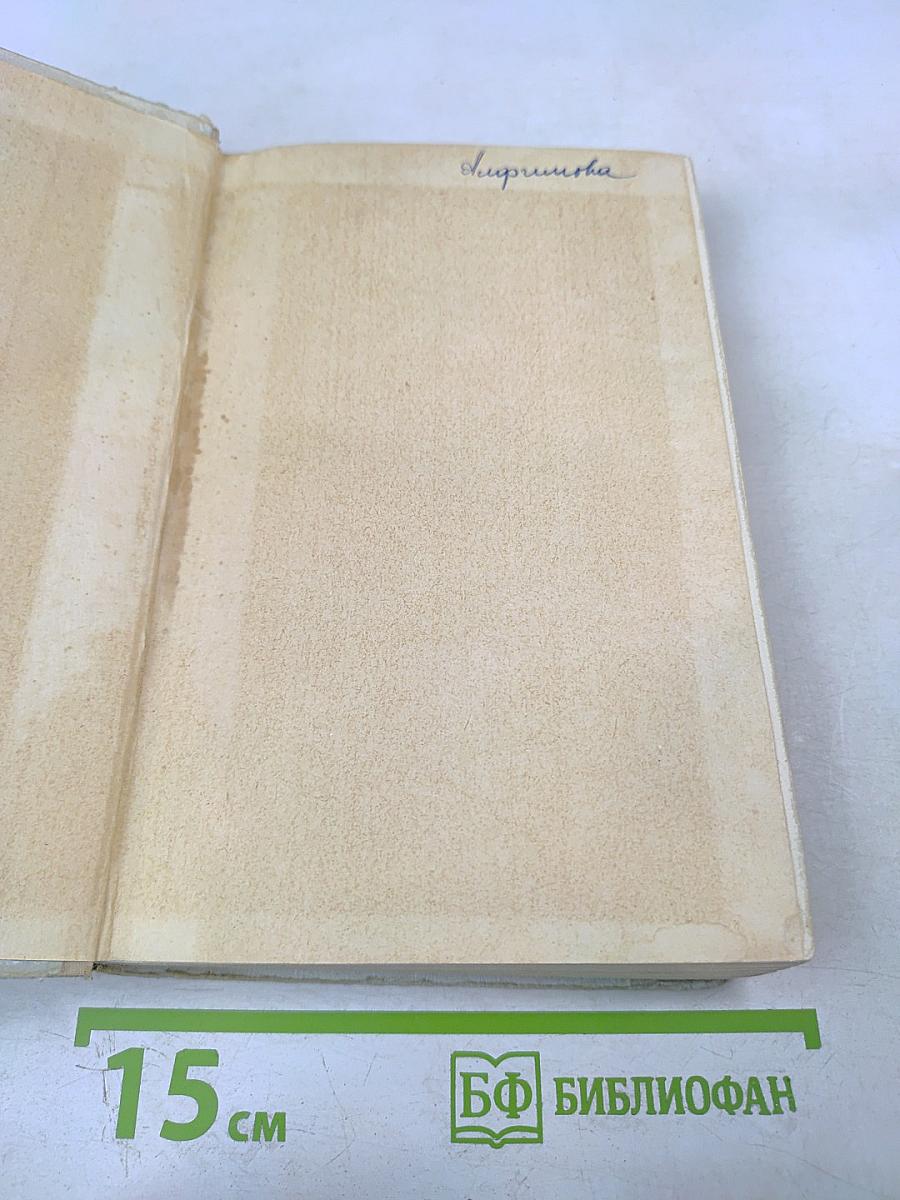 Памятник Крестоносцу