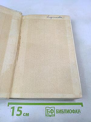 Памятник Крестоносцу