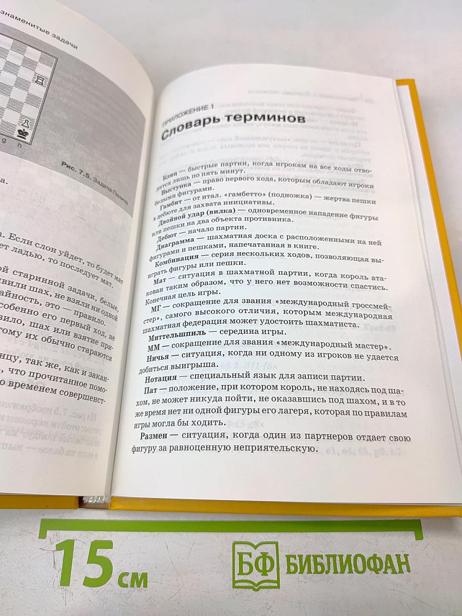 Шахматы для всей семьи