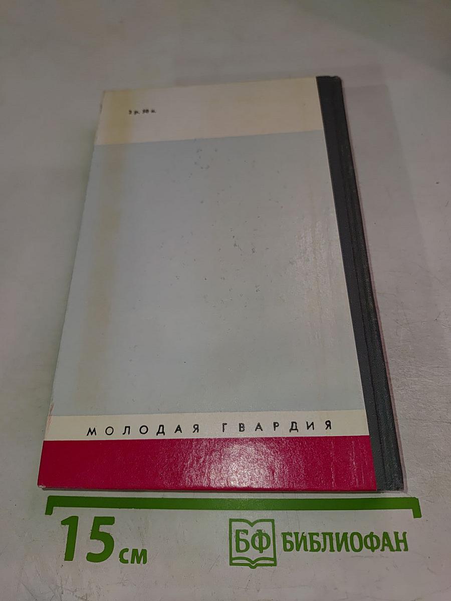Беллини