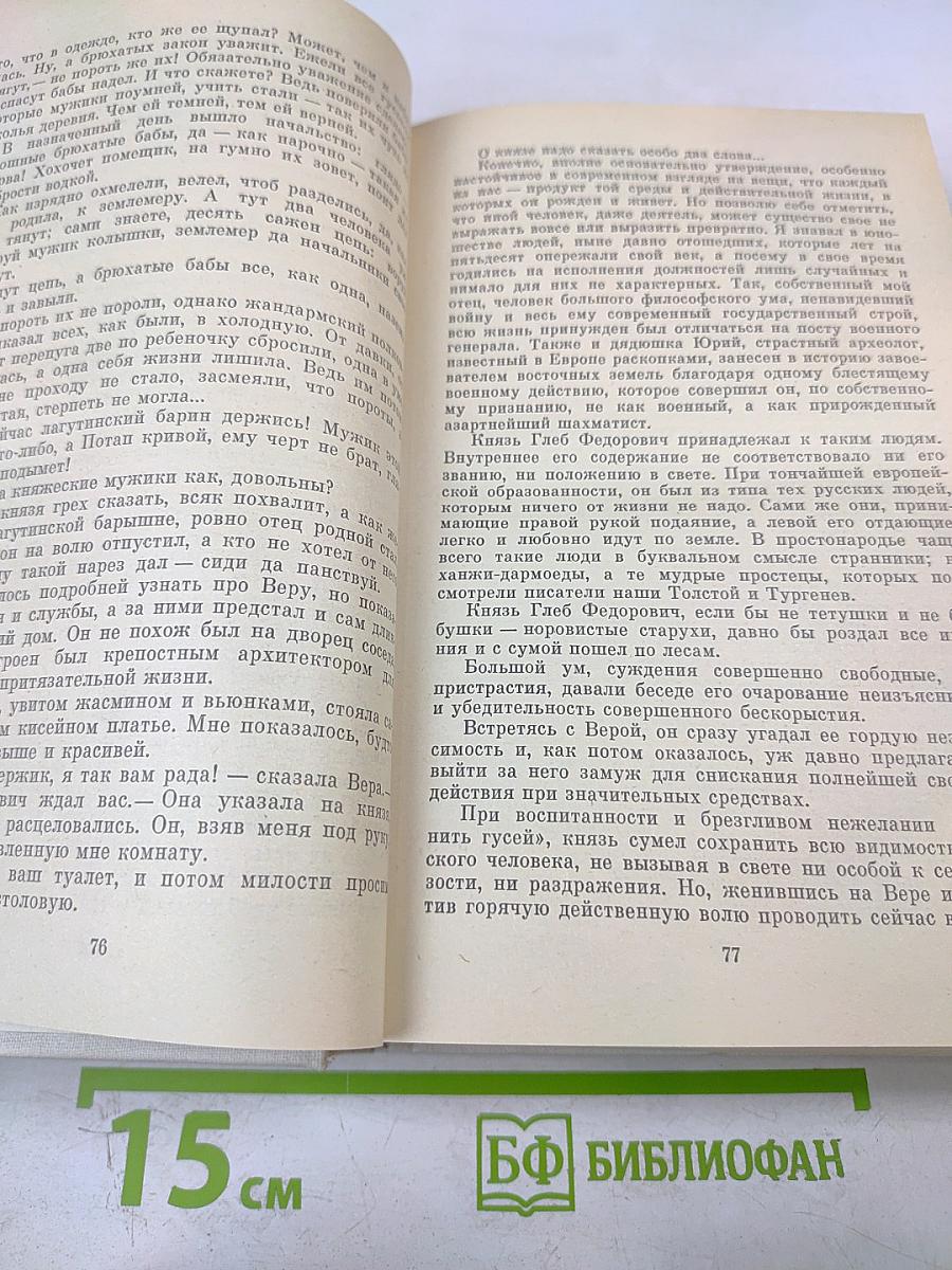 Романы. Одеты камнем, Радищев, Михайловский замок