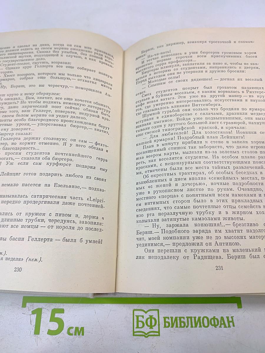 Романы. Одеты камнем, Радищев, Михайловский замок