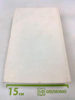 Романы. Одеты камнем, Радищев, Михайловский замок