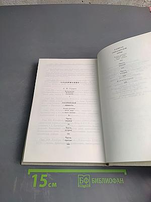 Капитан гренадерской роты