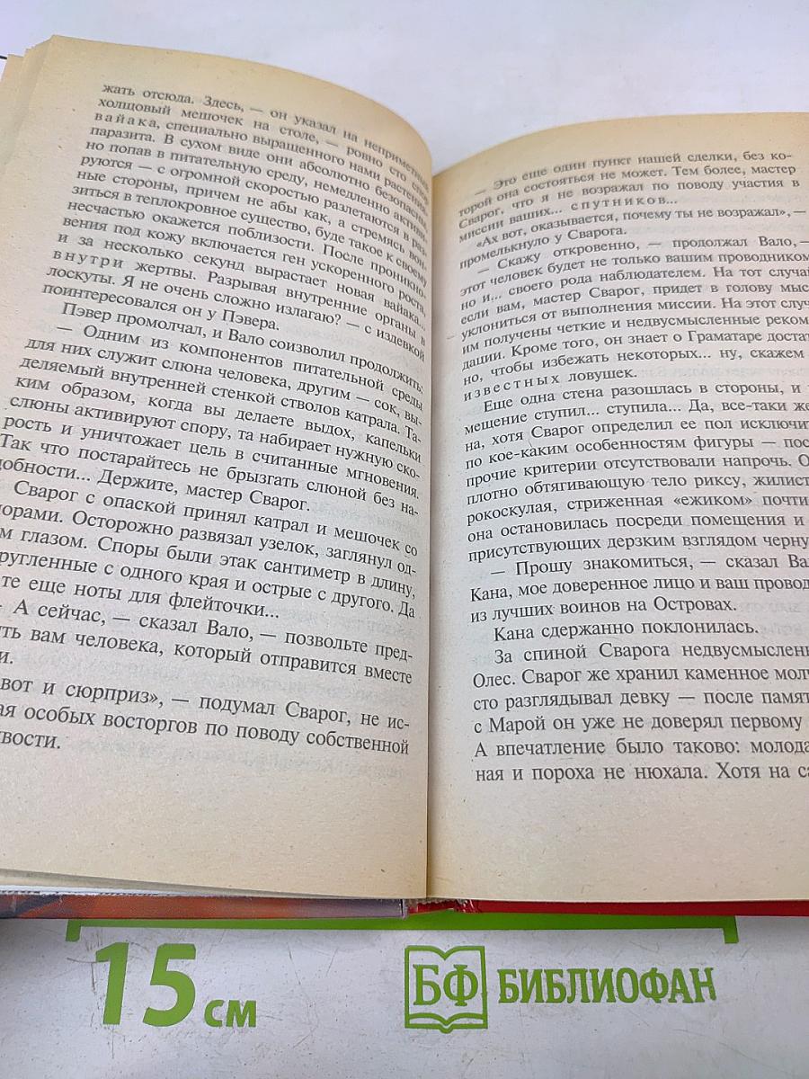 Сварог. Чужие зеркала