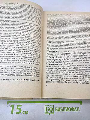 Школьный толковый словарь русского языка