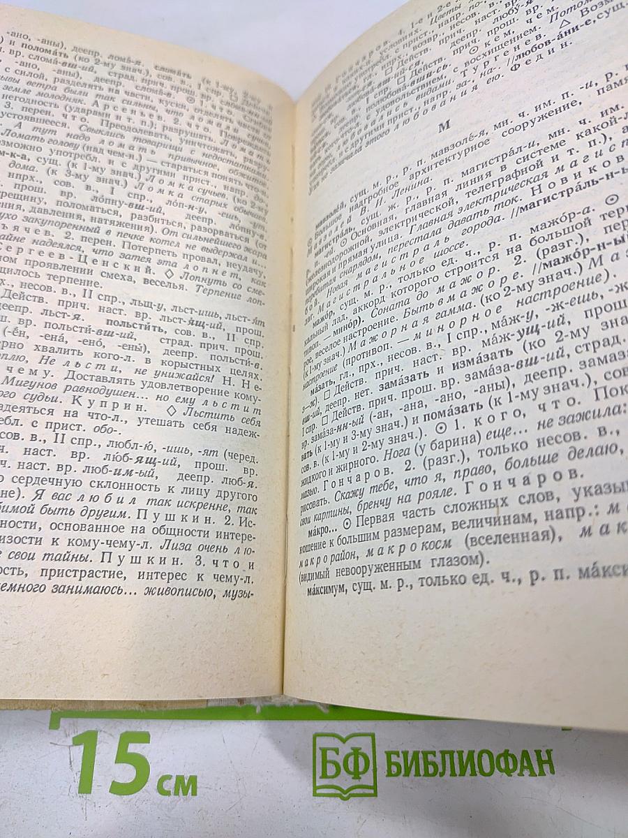 Школьный толковый словарь русского языка