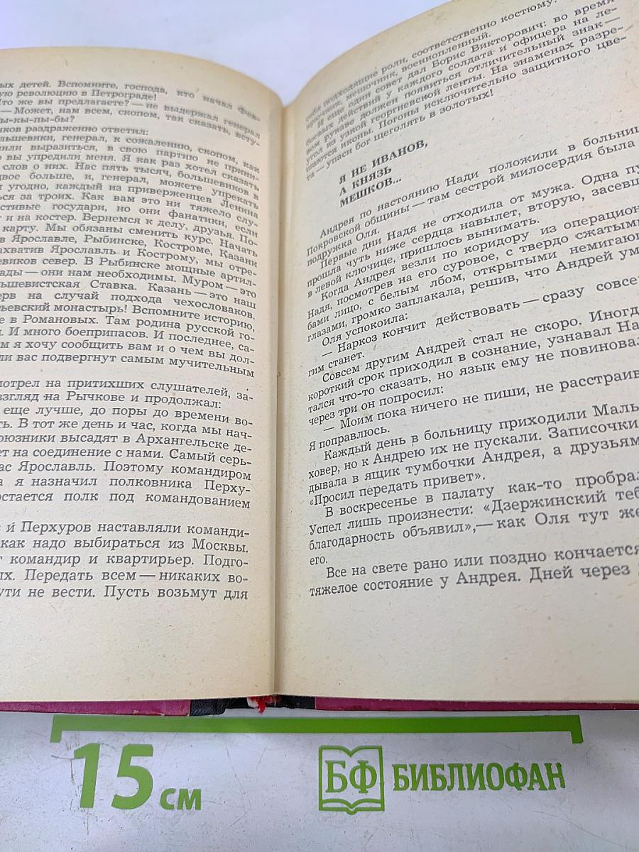 В Час дня, Ваше Превосходительство. Книги первая и вторая