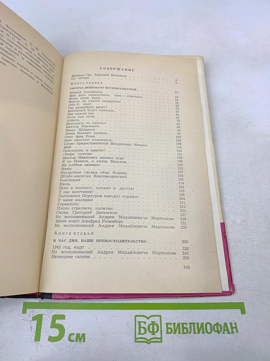 В Час дня, Ваше Превосходительство. Книги первая и вторая