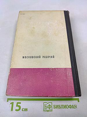 В Час дня, Ваше Превосходительство. Книги первая и вторая