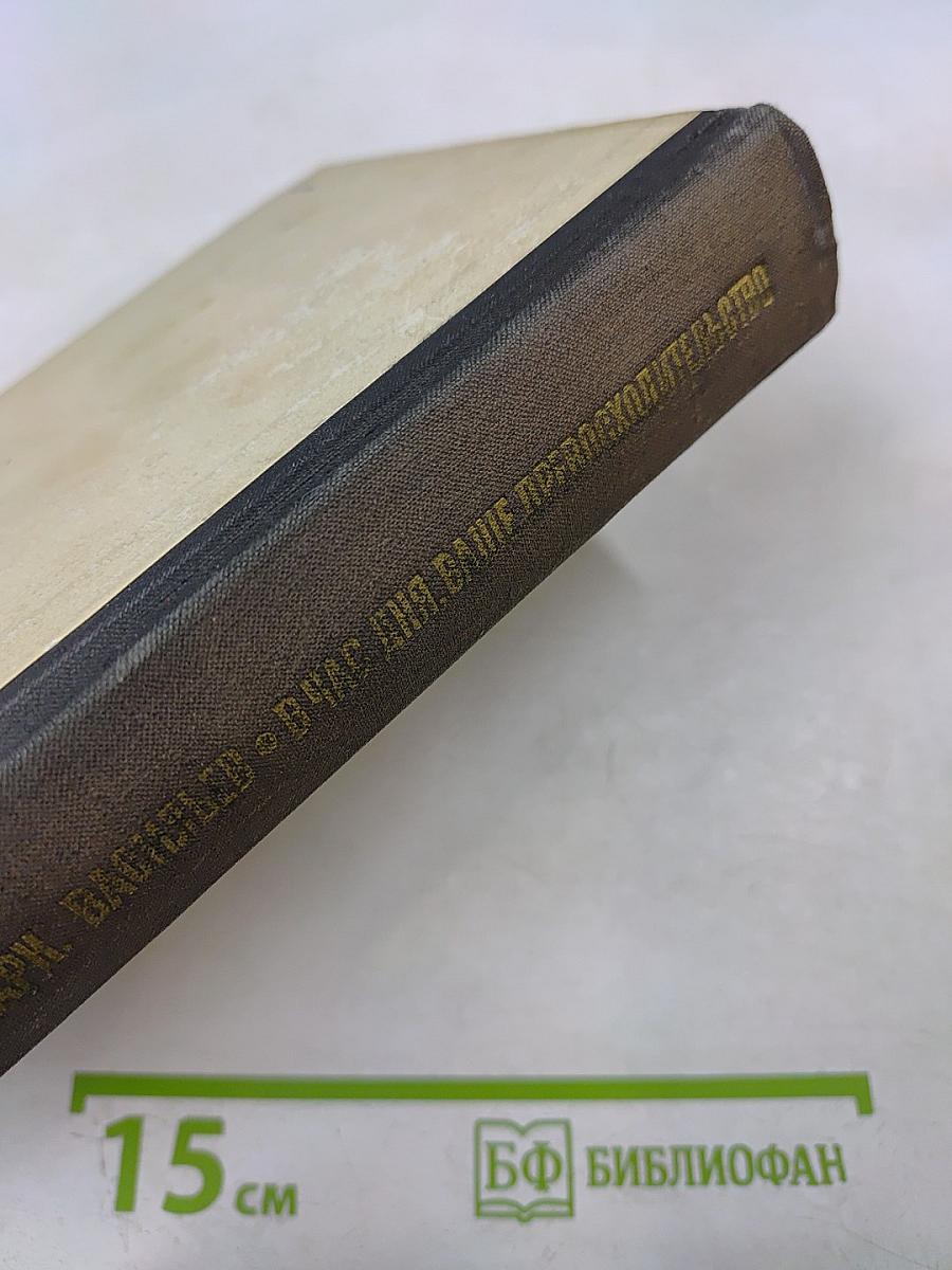 В Час дня, Ваше Превосходительство. Книги первая и вторая