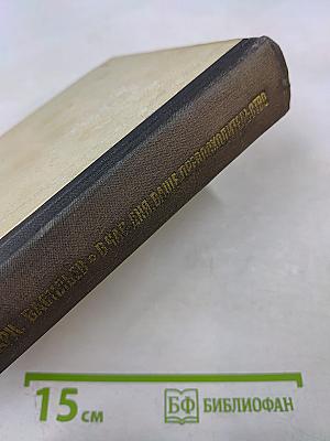 В Час дня, Ваше Превосходительство. Книги первая и вторая