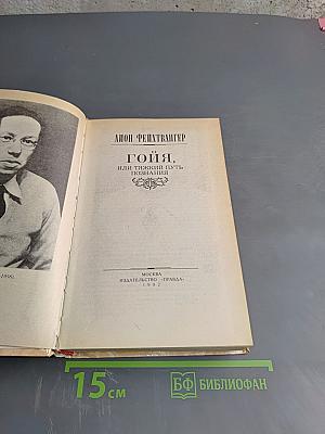 Гойя, или Тяжкий путь познания