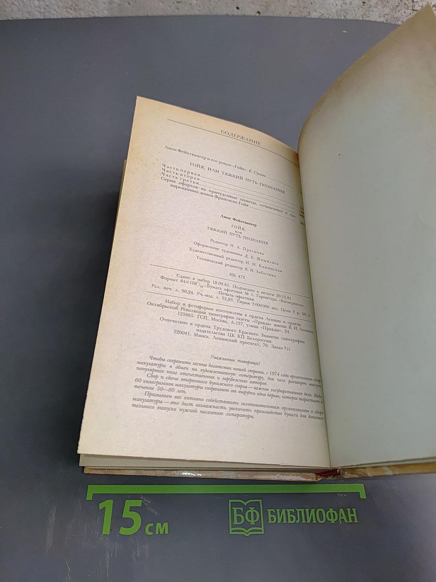 Гойя, или Тяжкий путь познания